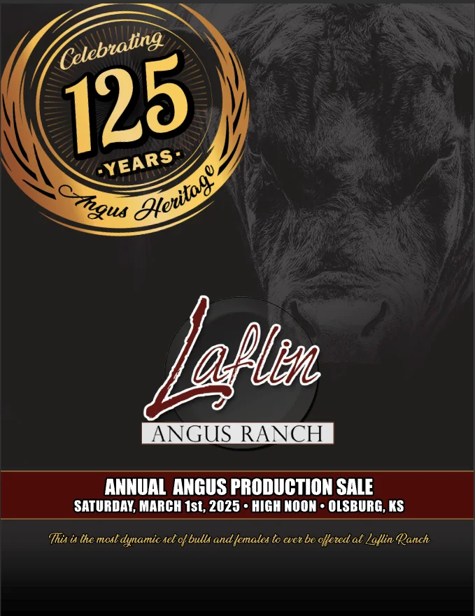 Click Here For sale Catalog