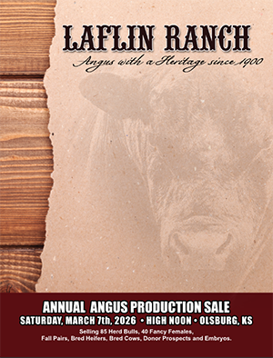 Click Here For sale Catalog